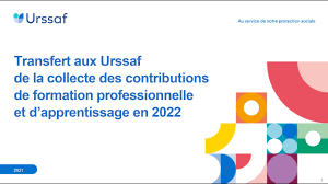 Contributions formations en 2022